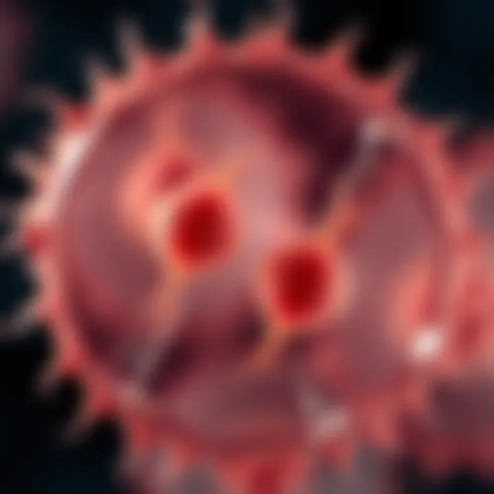 Diagram showing the division of a bacterial cell into two daughter cells through binary fission