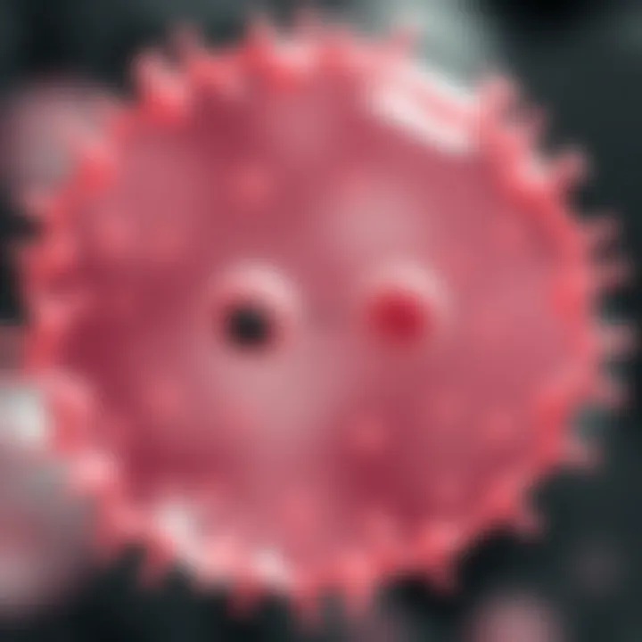 Diagram showing the stages of binary fission in a bacterial cell with DNA replication and cell division