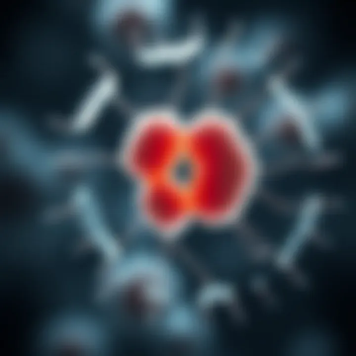 Representation of a single-celled protist undergoing binary fission to reproduce